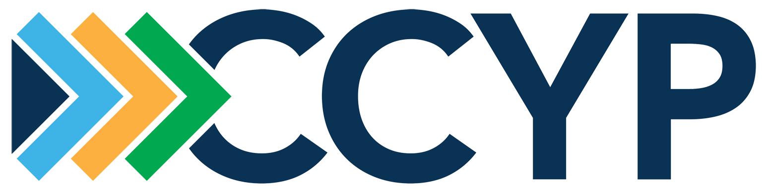 Partner 1 Logo